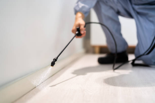 Bed Bug Pre-Treatment Preparation Assessment in Chaffee