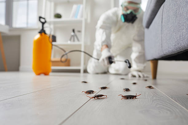 Post-Treatment Bed Bug Interceptor Monitoring in Chaffee