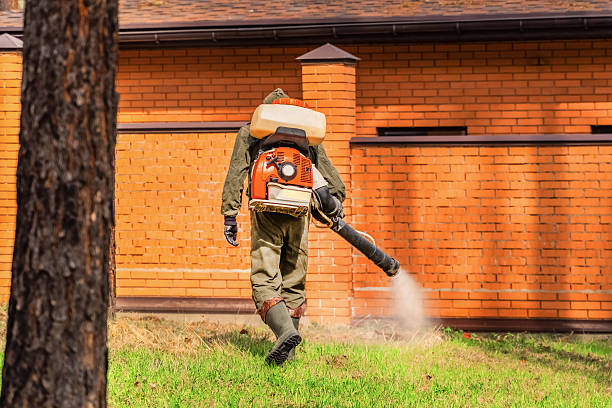 Bed Bug Clearance Verification and Documentation in Chaffee